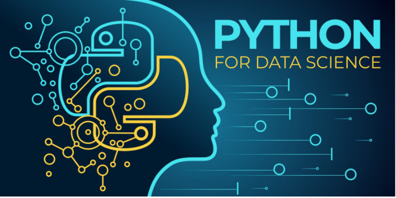 Python A Powerful Tool for Data Analysis